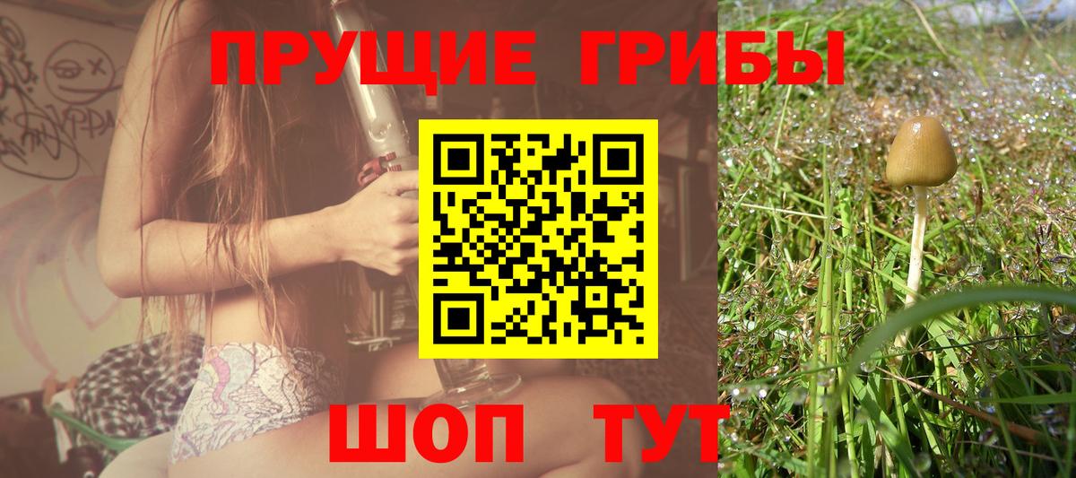 Псилоцибиновые грибы мицелий Куйбышев